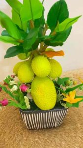 ของขวัญต้นขนุนดินปั้น กระถางต้นขนุนไม้มงคล ขนุนดินปั้น ไม้มงคล