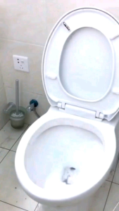 BODAS CLEANER: Solusi Pembersihan Kerak Noda Membandel