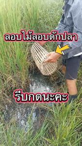 ลอบไม้ ลอบดักปลา  ที่ดักปลาทำจากไม้ไผ่อย่างดี