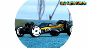 Xe điều khiển từ xa RC Wltoys 244016 RTR 1/24 tốc độ cao 2.4G 60m điều khiển động cơ chải carbon