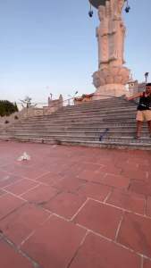 Cần Câu Tay Bạch Hổ 6H-19iTặng Ngọn Phụ Cần Câu Cá Cần Câu Đài Cần Đơn - DT fishing