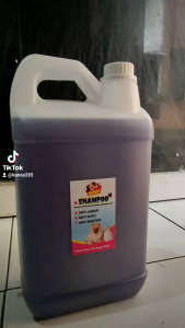 Sampo Kucing & Anjing Anti Kutu, Jamur, Bakteri, Bau, Kuman, Rontok Aroma Lavender Kemasan 5 Liter