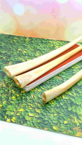 Pipa Once Sirip Ikan Marlino Super Panjang B31