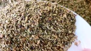 Nụ hoa hoè sao vàng hạ thổ (1kg)