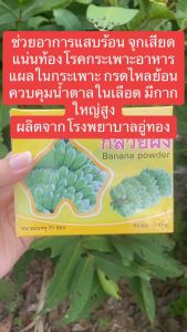 กล้วยผง1กล่องมี20ซอง ผลิตจากโรงพยาบาลอู่ทอง
