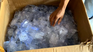 Gantungan Hook Tempel Transparant Serbaguna Gantungan Magic Hanger Besi Cantelan isi 30 pcs