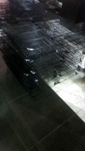 Kandang kucing lipat Ukuran 60x40x50 tingkat 2