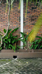 Jas Hujan | Raincoat Pria dan Wanita Terbaik by GIVONSY | Tebal Kuat dan Tidak Rembes