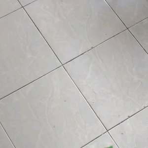 pupuk makro majemuk DAP PLUS. 1 kg