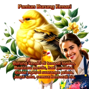 Suplemen Burung Kenari Murai Perkutut Trucukan Pleci Lovebird Terbuat dari Bahan Alami
