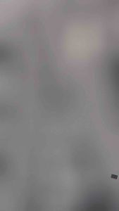 Quần nữ 9 tấc kẻ ô co giãn nhẹ  lưng thun day rút  size 45-70kg thoải mái