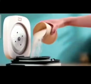 Mini Rice Cooker 0.8L