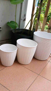 chậu nhựa trồng cây hoa văn mây đan tinh tế sang trọng 3 size 17x18cm 22x23cm và 28x30cm