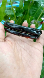 Gelang Akar Bahar Merah Body Bulat Tembus Cahaya