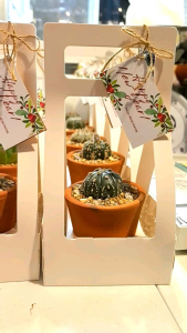 Plant Holder for Giveaways or Souvenir