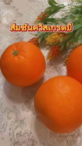 โมเดลส้มปลอม ส้มซันควิสเกรดบี ราคาต่อ1 ลูกนะคะ วัสดุผลิตจสกโฟมคะ