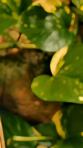 3D Scrapbook Pop Up Frame - Kado Ulang Tahun Birthday Custom Hadiah Wisuda Graduation Wisuda Gift Kado Kenang kenangan