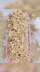 ซุปเปอร์ เค ซี เอ็ม (supper kcm) สารปรับปรุงคุณภาพดิน บรรจุ 5 กก. ราคา 217 บาท