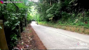 Saringan Bor Knalpot Resing & Standar Panjang 30/40 untuk Beat Vario Mio PCX