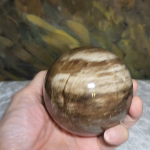 8.5cm Premium Madagascar Petrified wood Fengshui sphere ball 天然马达加斯加木化石风水球摆件