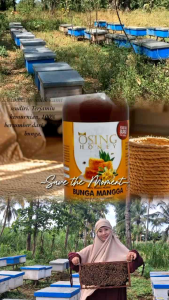 madu murni osing honey nektar bunga mangga asli 100%
