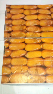 Kurma Ruthab Ruthob Libya 1 kg segar frozen Kurma Muda Kurma Bagus Buat Kesehatan