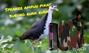 Speaker Bluetooth Pikat Burung Ruak Ruak dengan Suara Keras dan Batre Irit