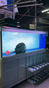 2-in-1 LED T10 หลอดไฟ แบบ 2 แถว สีแดง