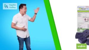 Klerat Wax Blocks Rodent Control - Brodifacoum (Retail/Per Piece) - Rat Killer Rat Poison Lason Daga Pamatay Daga / 5pcs 10pcs 15pcs 20pcs 25pcs