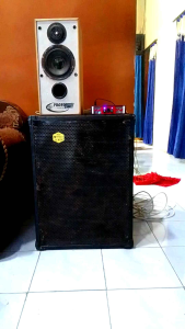 Ampli mini model phaselab tpa3110 30wattx2 Psu murni tinggal colok ke listrik