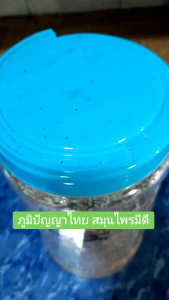 ไล่มอดในข้าวสาร สมุนไพรไล่มอด ปลอดภัย(20กรัม)