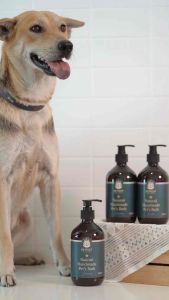 [Petfect] Handmade Natural Pet Shampoo Dog Shampoo Cat Shampoo Bath Shower *Rosemary*