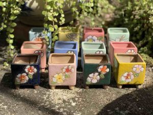 Chậu trồng cây sen đá/xương rồng/bonsai nhập Trυng men vuông bông hoa🌸