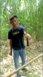 sabit rumput baja asli super tajam
