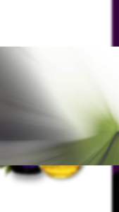 Sanmark Organic Perilla Oil (Omega-3 60-70%)