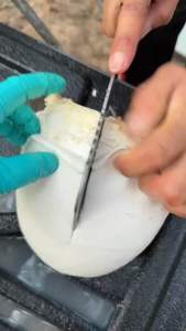 สตรอง(พิเศษ12 กล่อง 1200บาท)แถมฟรี สตรอง 1 กล่อง ด่วนมีจำนวน จำกัด