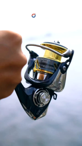 Reel IROLY SEPHIA+ SW & SEPHIA CARBON 500 800 1000 2000 3000 4000 6000