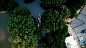 Reel Iroly Ultima 2000 3000 4000 6000 Saltwater