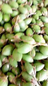 BUAH PINANG MUDA SEGAR FRESH 1KG
