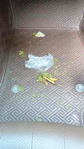 Bộ chổi mini kèm hốt rác nhựa nhỏ gọn tiện dụng văn phòng học sinh