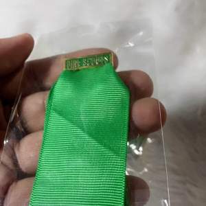 GSP Pin Holder for all Scouts