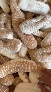 [đặc sản nha trang] 200g hải sâm hài trắng_dùng đế ngâm thuốc