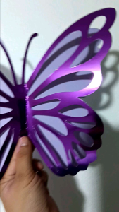 2D butterfly