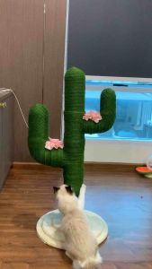 [พร้อมส่ง❗️] ที่ลับเล็บแมว ที่ปีนแมว ต้นกระบองเพชร 105 CM  | แมวหิว