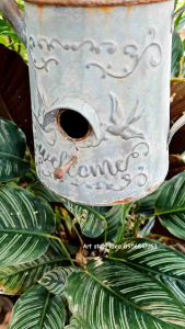 ตะขอแขวนอเนกประสงค์สามารถแขวนได้ทุกชนิดเช่นกระถางดอกไม้/ต้นไม้