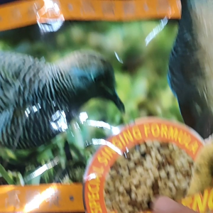 Pakan Perkutut Phoenix Gold