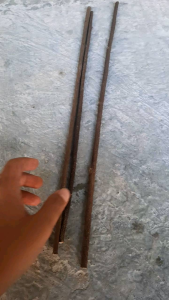 TANGKRINGAN ASEM BALI UNTUK PLECI DAN KOLIBRI