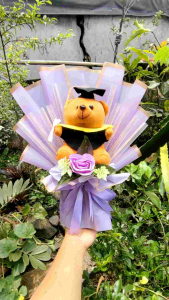 BUKET BONEKA WISUDA DAN UANG ROLL KlOSONGAN TINGGAL ISI SENDIRI GRATIS KARTU UCAPAN Kado