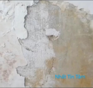 0.5KG Keo bả NTT xử lý tường ẩm mốc tường cũ vôi hoá muối hoá công nghệ Thụy Điển