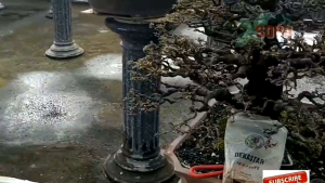Alat Bonsai dan Berkebun Garpu Akar Ryuga Root Hook ACT2